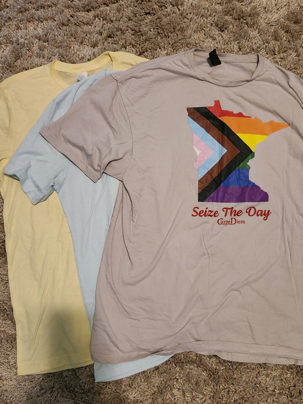 Seize The Day Minnesota Pride Graphic T-Shirt - Taupe